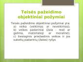 Pristatymas apie teisės pažeidimus 17 puslapis