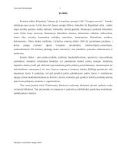 Baigiamoji praktika hidraulikos servise 3 puslapis