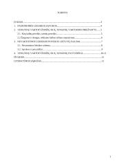 Vengtini vartoti žodžiai ir žodžių junginiai 2 puslapis