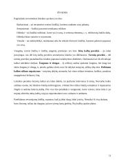 Vengtini vartoti žodžiai ir žodžių junginiai 12 puslapis