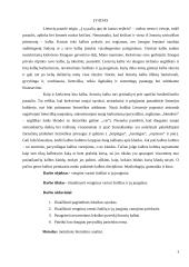 Vengtini vartoti žodžiai ir žodžių junginiai 3 puslapis