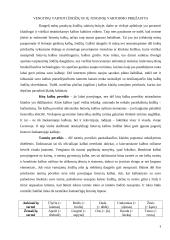 Vengtini vartoti žodžiai ir žodžių junginiai 5 puslapis