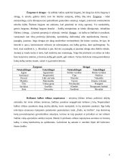 Vengtini vartoti žodžiai ir žodžių junginiai 6 puslapis