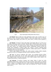 Paviršinių vandenų tarša ir jos cheminiai rodikliai 6 puslapis