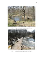 Paviršinių vandenų tarša ir jos cheminiai rodikliai 9 puslapis