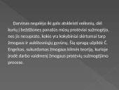 Žmogaus kilmė 13 puslapis