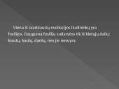 Žmogaus kilmė 18 puslapis