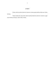 Informacinių komunikacijų praktika 2 puslapis