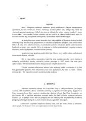 Informacinių komunikacijų praktika 3 puslapis