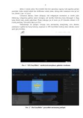 Informacinių komunikacijų praktika 4 puslapis