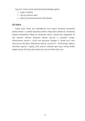 Merkantilizmo filosofija 11 puslapis