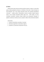 Merkantilizmo filosofija 2 puslapis
