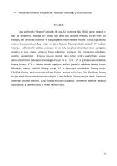 Finansų mokslo istorinė raida  11 puslapis