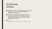 Prezentacija apie stiklą 16 puslapis