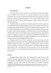 Pagrindinės žmonių išteklių vadybos Lietuvos savivaldybėse problemos 3 puslapis