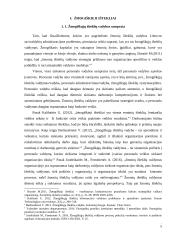 Pagrindinės žmonių išteklių vadybos Lietuvos savivaldybėse problemos 5 puslapis