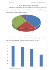 Dviejų kambarių butų rinkos tyrimas Kauno mieste 15 puslapis