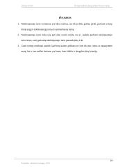 Dviejų kambarių butų rinkos tyrimas Kauno mieste 19 puslapis