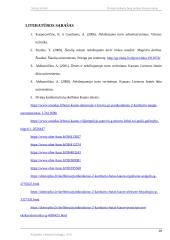 Dviejų kambarių butų rinkos tyrimas Kauno mieste 20 puslapis