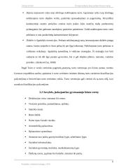 Dviejų kambarių butų rinkos tyrimas Kauno mieste 6 puslapis