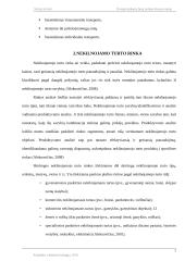 Dviejų kambarių butų rinkos tyrimas Kauno mieste 7 puslapis