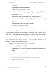 Dviejų kambarių butų rinkos tyrimas Kauno mieste 9 puslapis