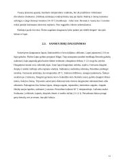 Zamiokulkas ir sansevjera 14 puslapis