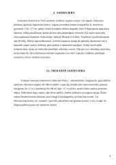 Zamiokulkas ir sansevjera 8 puslapis