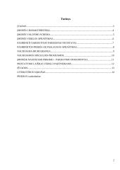 Praktikos ataskaita - darbo ypatumai kelionių agentūroje 2 puslapis