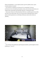 Pelėda, įkvėpimo šaltinis kuriant garso įzoliaciją 10 puslapis