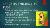 Kas lemia žmonių emigraciją? 7 puslapis