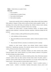 Sandoriai. Referatas 2 puslapis