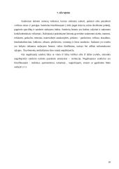 Sandoriai. Referatas 17 puslapis