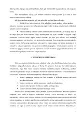 Sandoriai. Referatas 10 puslapis