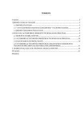 Lengvųjų automobilių baigiamosios praktikos ataskaita 2 puslapis