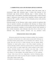 Lengvųjų automobilių baigiamosios praktikos ataskaita 17 puslapis