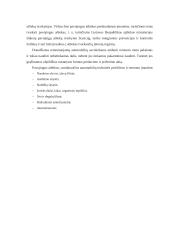 Lengvųjų automobilių baigiamosios praktikos ataskaita 20 puslapis