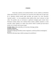 Lengvųjų automobilių baigiamosios praktikos ataskaita 3 puslapis