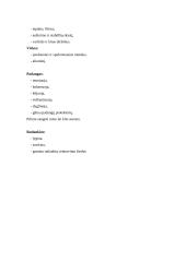 Lengvųjų automobilių baigiamosios praktikos ataskaita 7 puslapis