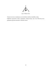 Multimedijos produkto – DVD su vaidybiniu filmu „Atpildas“ – sukūrimas 12 puslapis