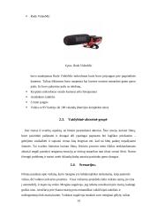 Multimedijos produkto – DVD su vaidybiniu filmu „Atpildas“ – sukūrimas 13 puslapis