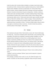 Multimedijos produkto – DVD su vaidybiniu filmu „Atpildas“ – sukūrimas 14 puslapis