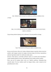 Multimedijos produkto – DVD su vaidybiniu filmu „Atpildas“ – sukūrimas 16 puslapis