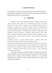 Multimedijos produkto – DVD su vaidybiniu filmu „Atpildas“ – sukūrimas 4 puslapis