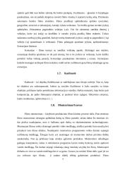 Multimedijos produkto – DVD su vaidybiniu filmu „Atpildas“ – sukūrimas 7 puslapis