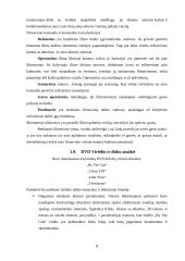 Multimedijos produkto – DVD su vaidybiniu filmu „Atpildas“ – sukūrimas 8 puslapis