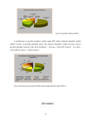 Draudimo įmonių veikla Lietuvoje 12 puslapis