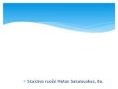 Vytautas Račickas "Baltos durys" 9 puslapis