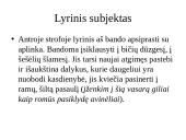 Aido Marčėno eilėraščio analizė 5 puslapis