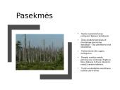 Skaidrės apie rūgščiuosius lietus 5 puslapis